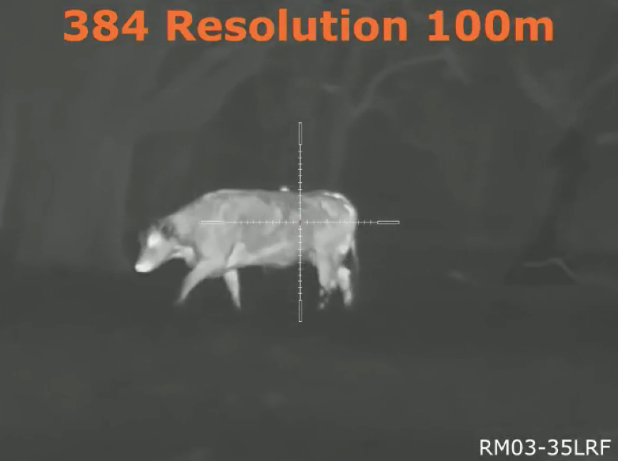 61d709931f40f.png